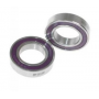 SPT1347 Serpent Bearing HS 12x21