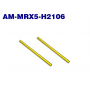 ArrowMax Front Lower Arm Shaft (Spring Steel) (2) for Mugen MRX5
