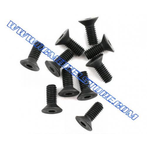 Flat Head Screw 3x14mm (10pcs)