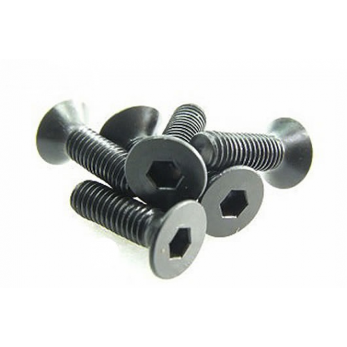 PA7058 BMT 701 Flat Head Screw 3x10mm (6)