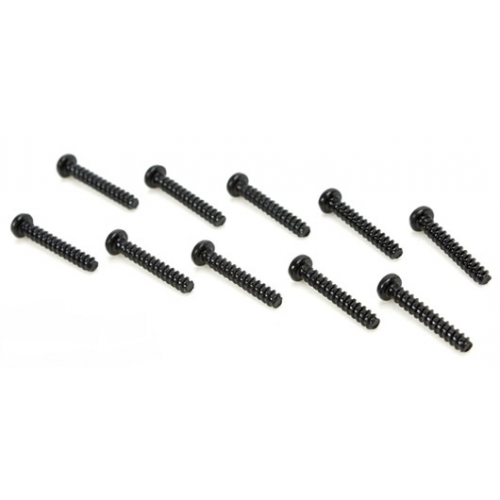 PA7131 BMT 701 Viti testa bombata 2x10mm (6)