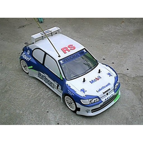 Delta Plastik Peugeot 306 Maxi 1/8 Rally Game Body