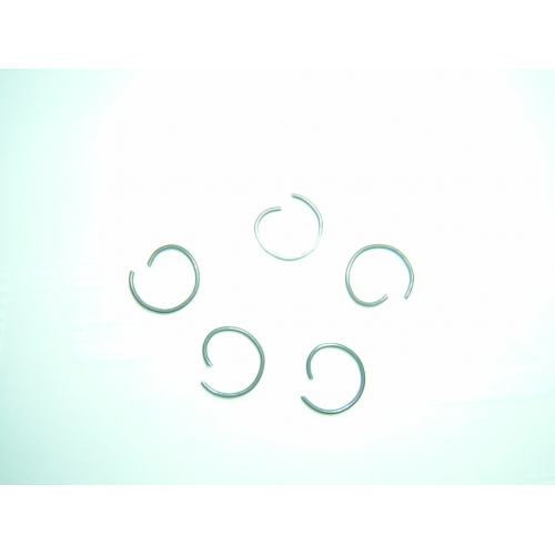 S1747I  G-Ring ammortizzatori (5pz)