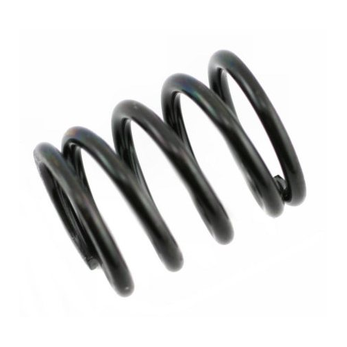 C0358  Servo Saver Spring