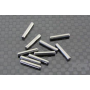 116201 Pin 2x10,8mm (10pz)