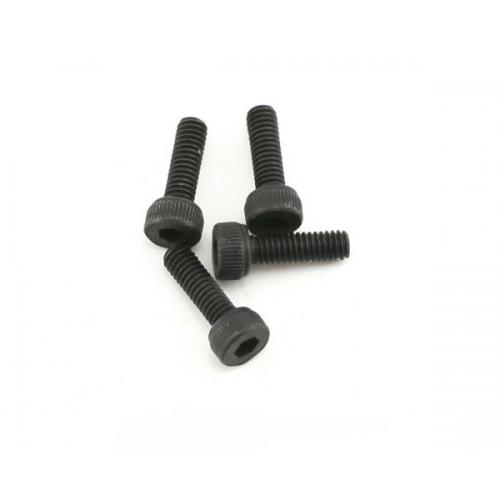 STS Back Plate Screws (4pcs)