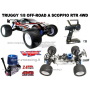 Automodello VRX Truggy 1/8 RTR Off/Road