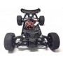 Automodello Elettrico Himoto Buggy TANTO EP RTR Off/Road 1/10